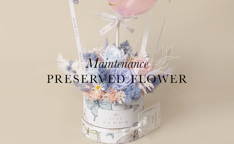 Preserved Flowers Maintenance