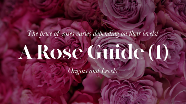 The price of roses varies depending on their levels! A Rose Guide (1) - Origins and Levels