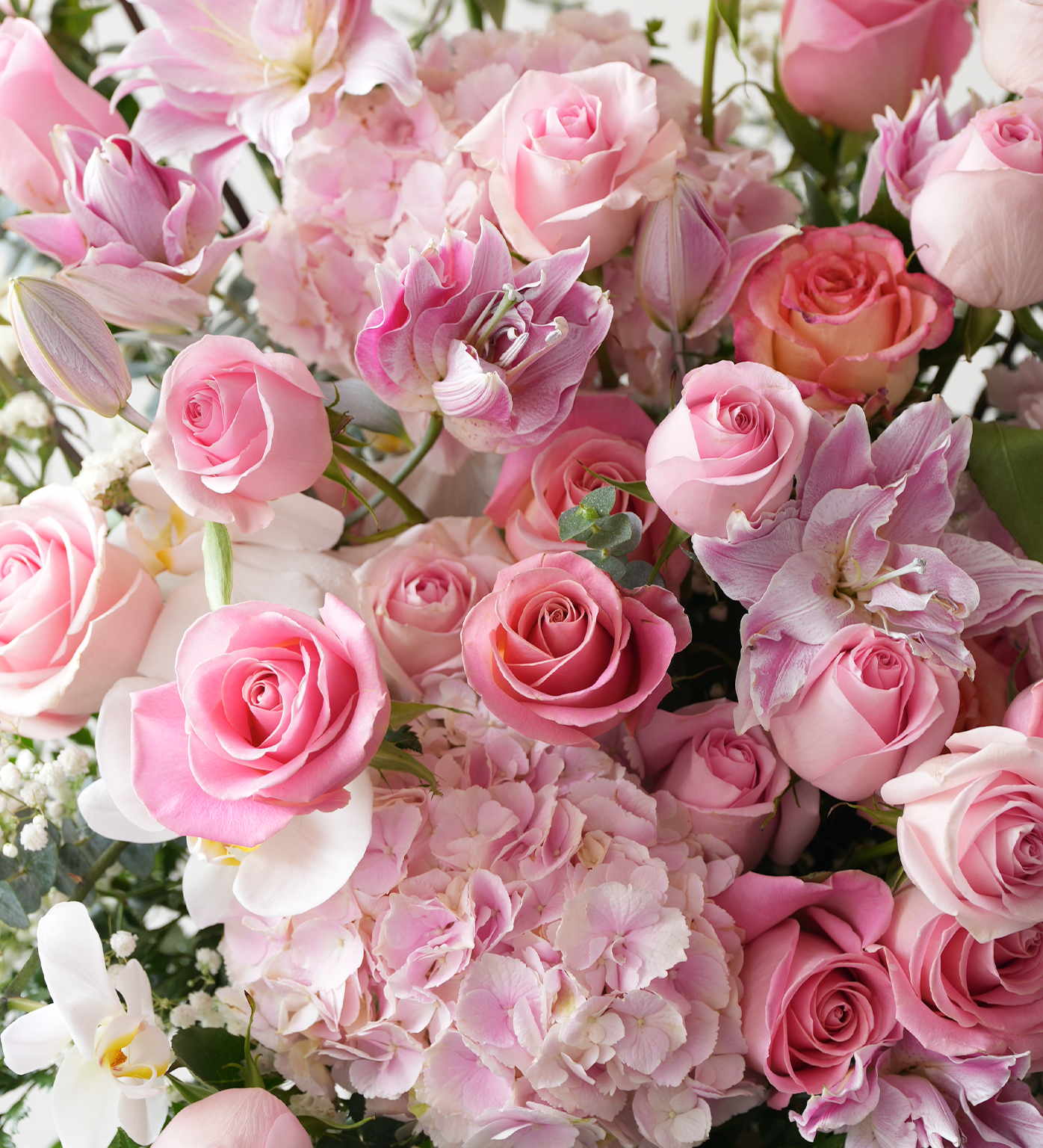 Good Morning