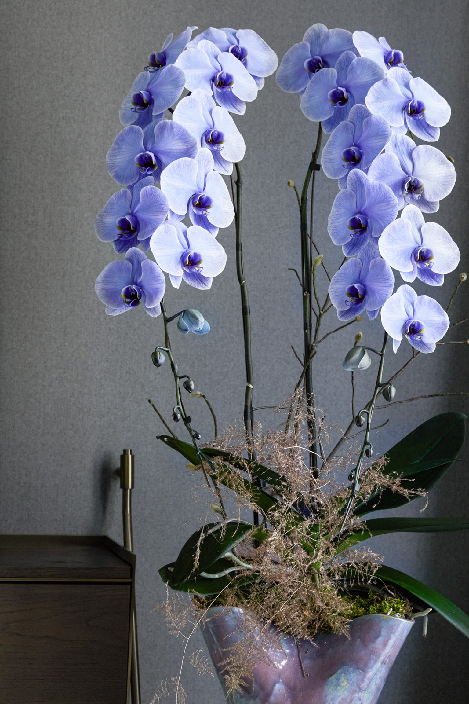 Double Fortune(雙福臨門)