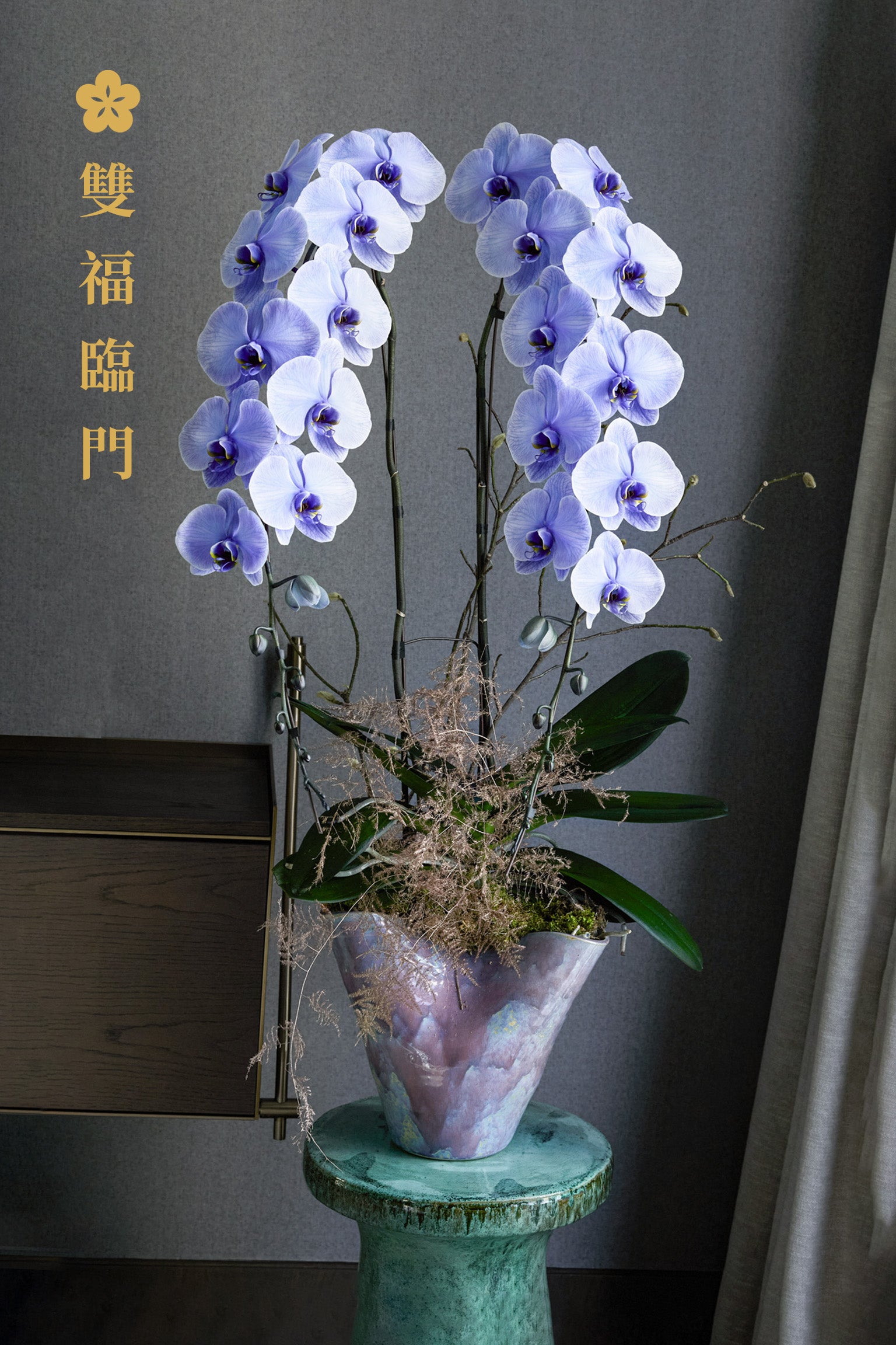 Double Fortune(雙福臨門)