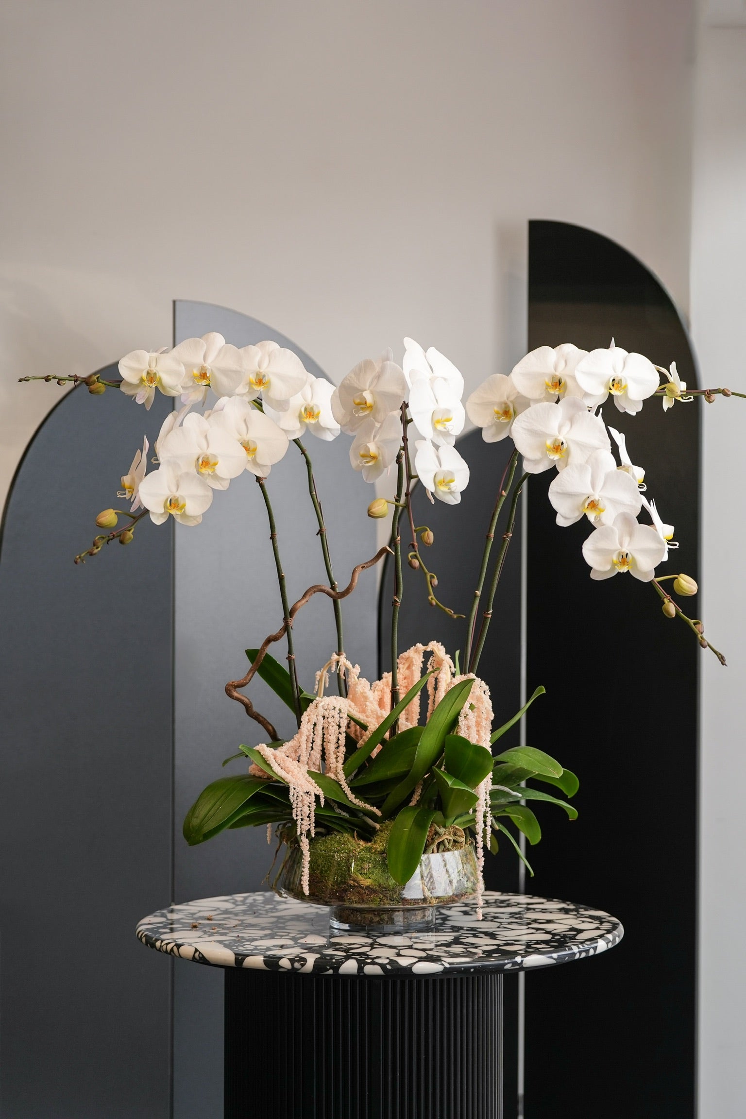 Modern phalaenopsis orchid floral arrangement in a clear glass vase, displayed on terrazzo table