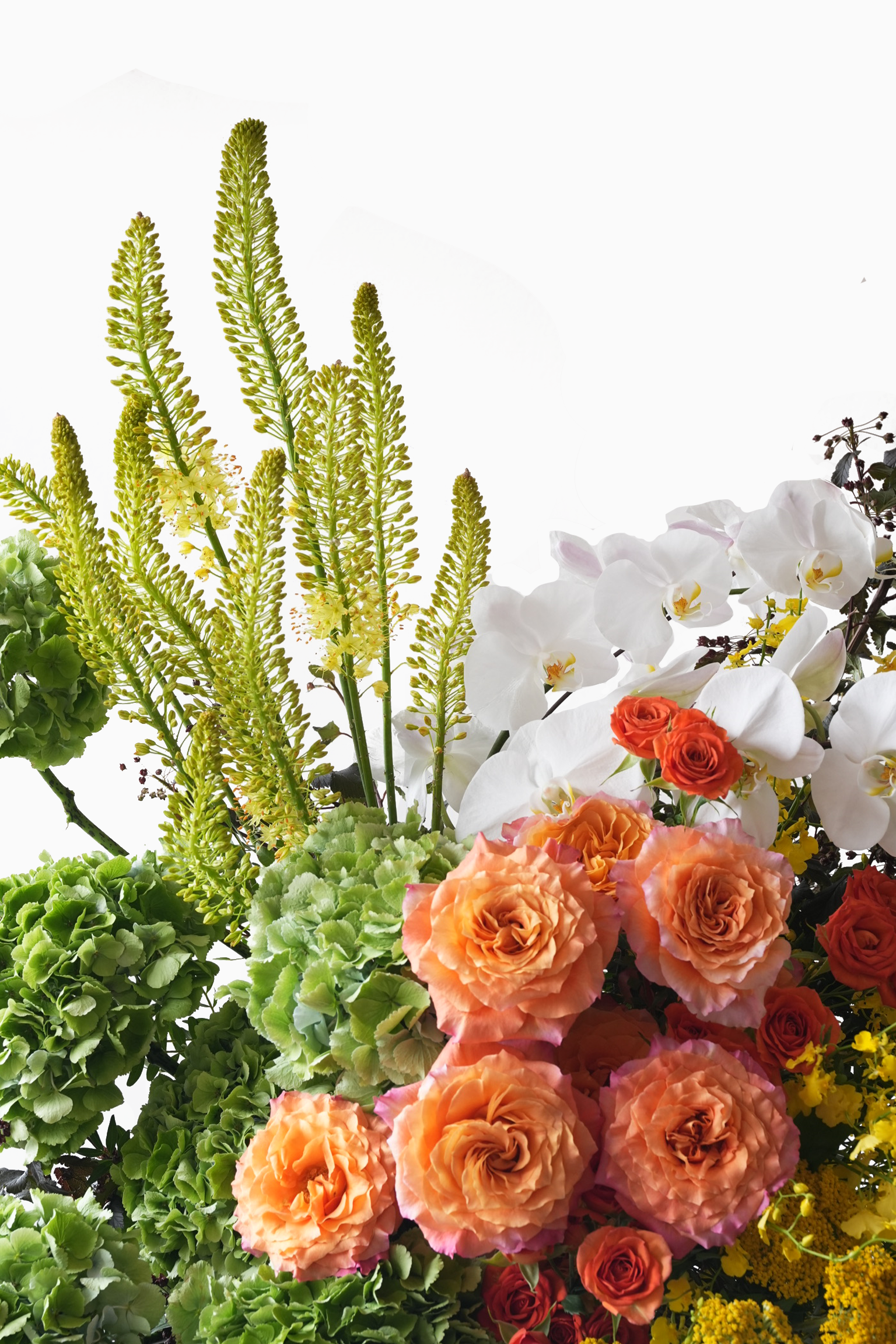 Cheyenne vibrant flower stand – close-up view of coral roses, white moth orchids, yellow oncidiums and lush green foliage arrangement.