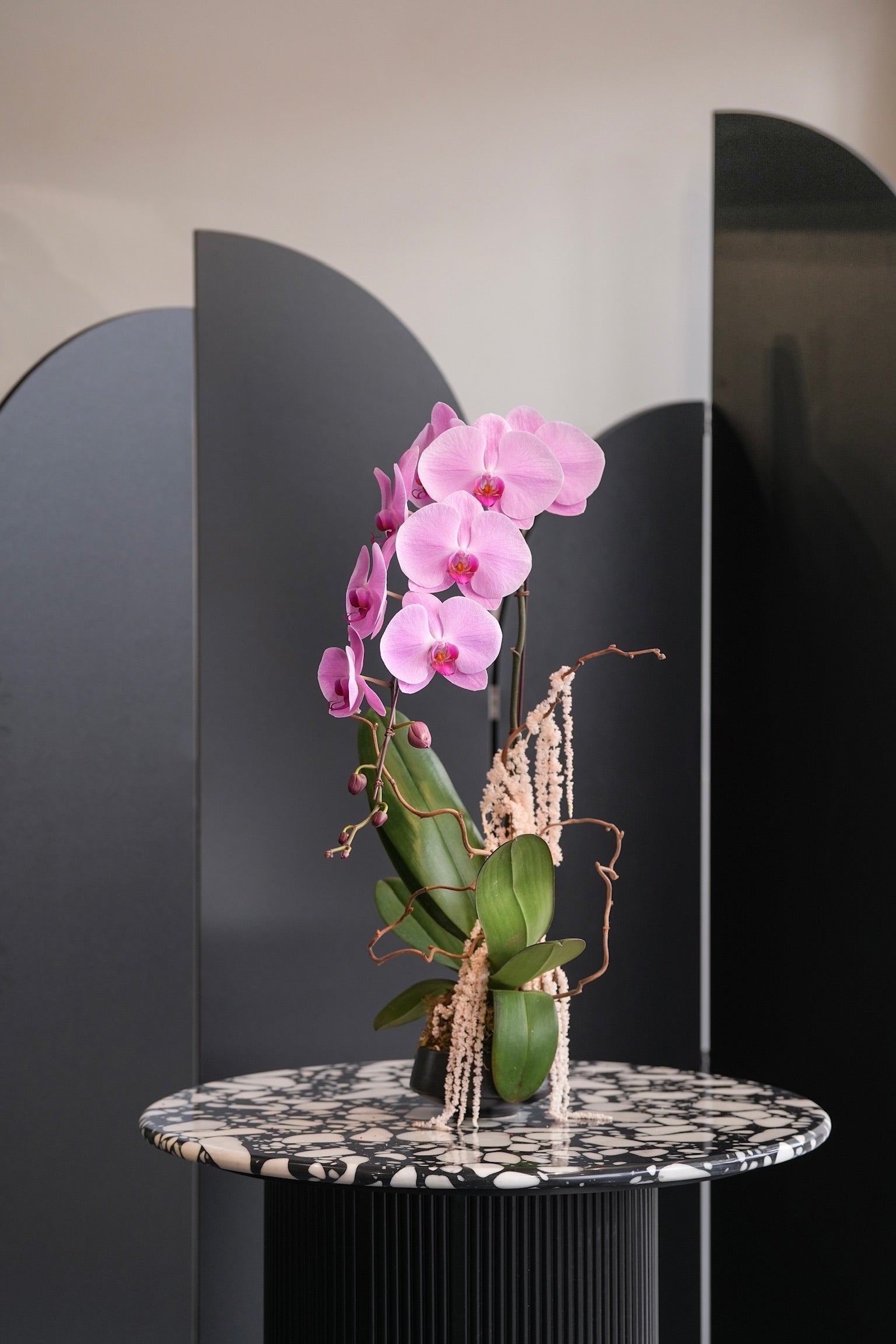 Pink Dutch orchid arrangement styled on terrazzo round table with minimal backdrop