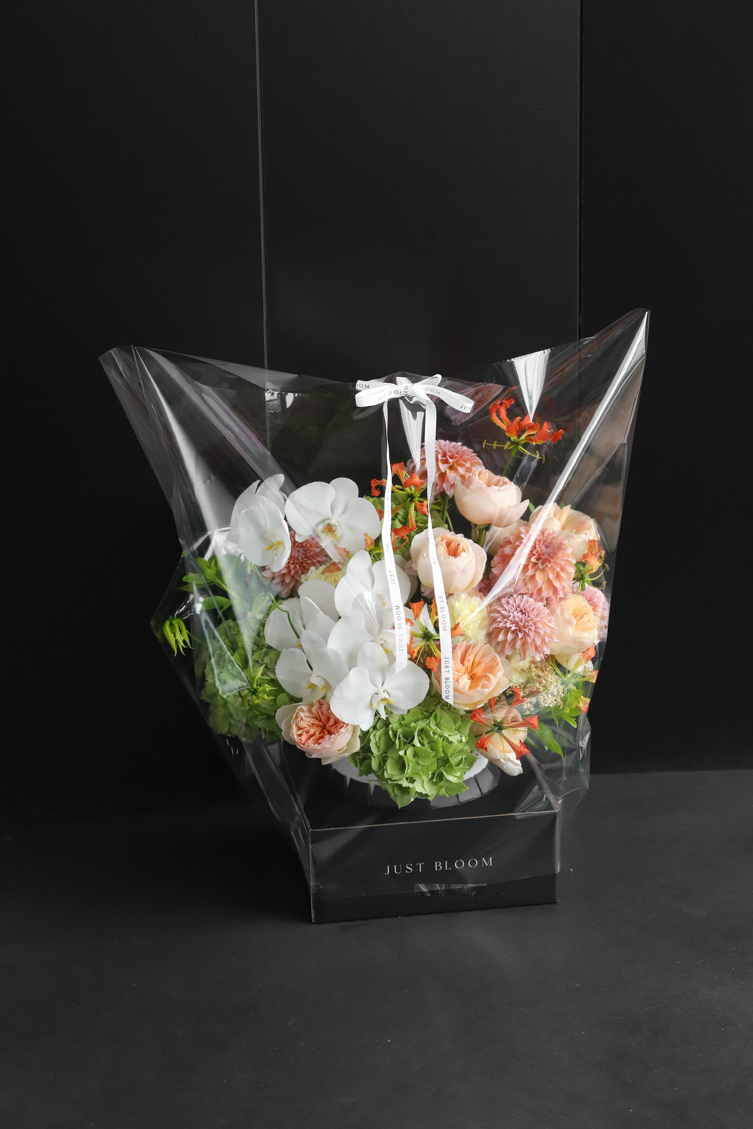Just Bloom flower box arrangement in clear gift packaging with white ribbon, showing peach and white blooms with Phalaenopsis Orchids against a dark background — Just Bloom Hong Kong