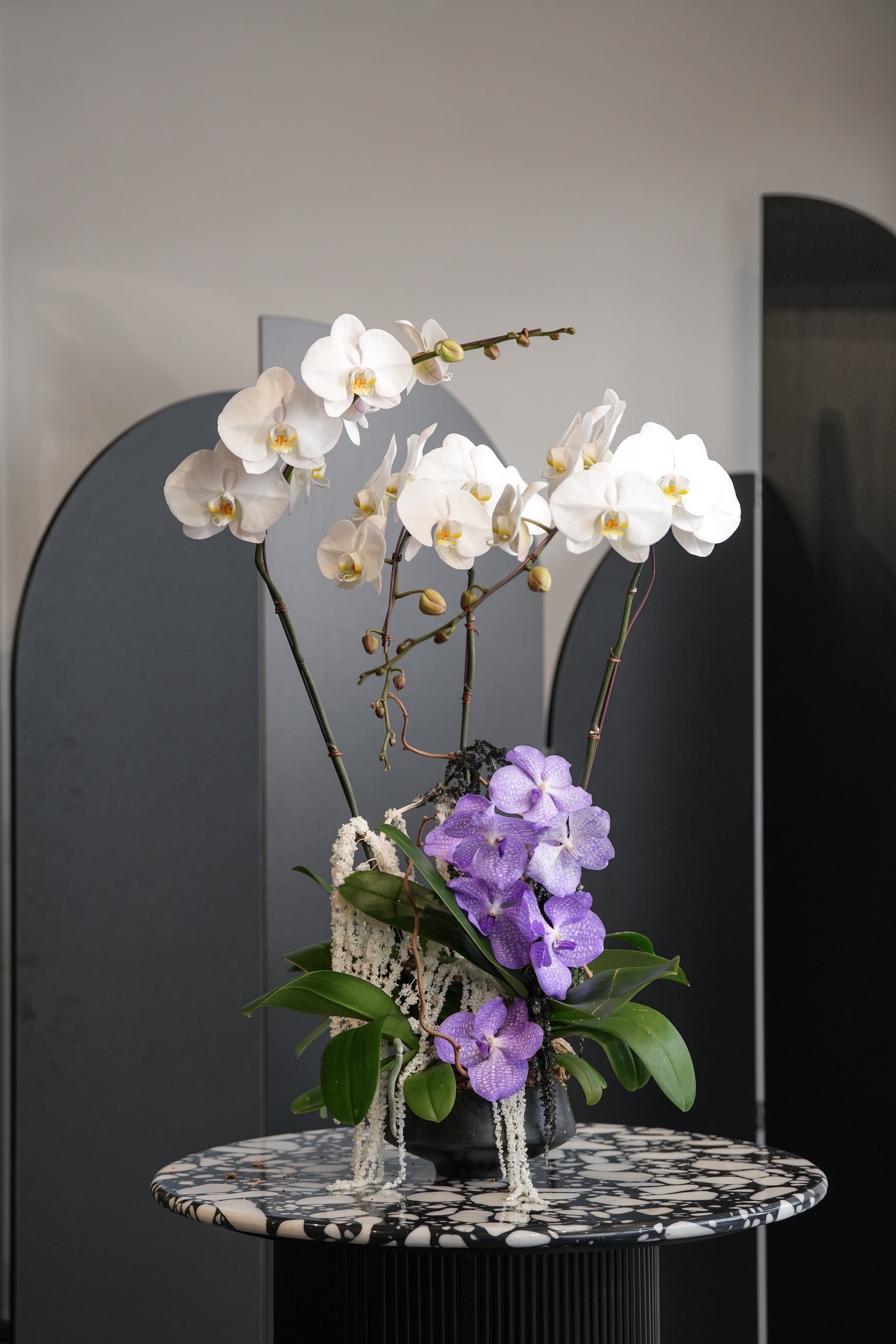 Mae white and purple orchid arrangement with flower fillers in a black vase