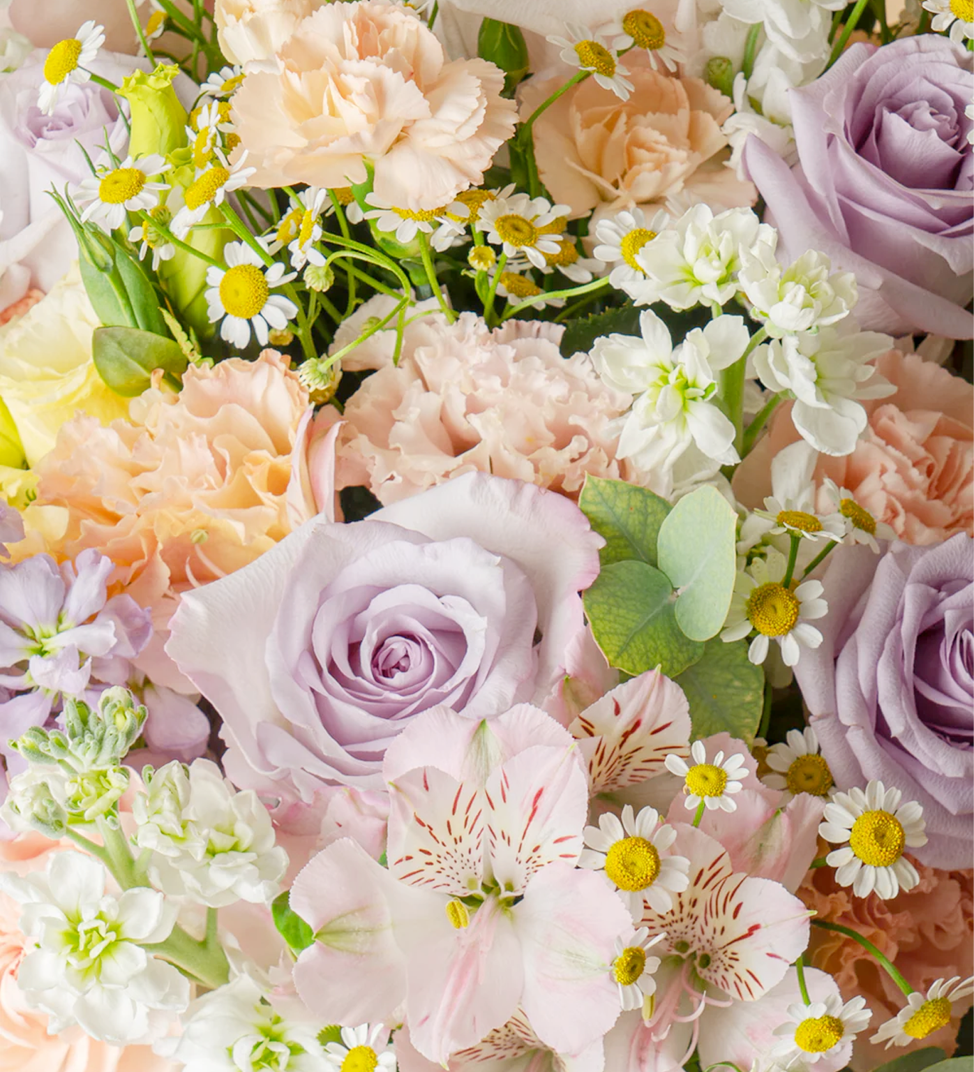 Detail view of chamomile and rose textures in pastel bouquet McKenna – Just Bloom HK