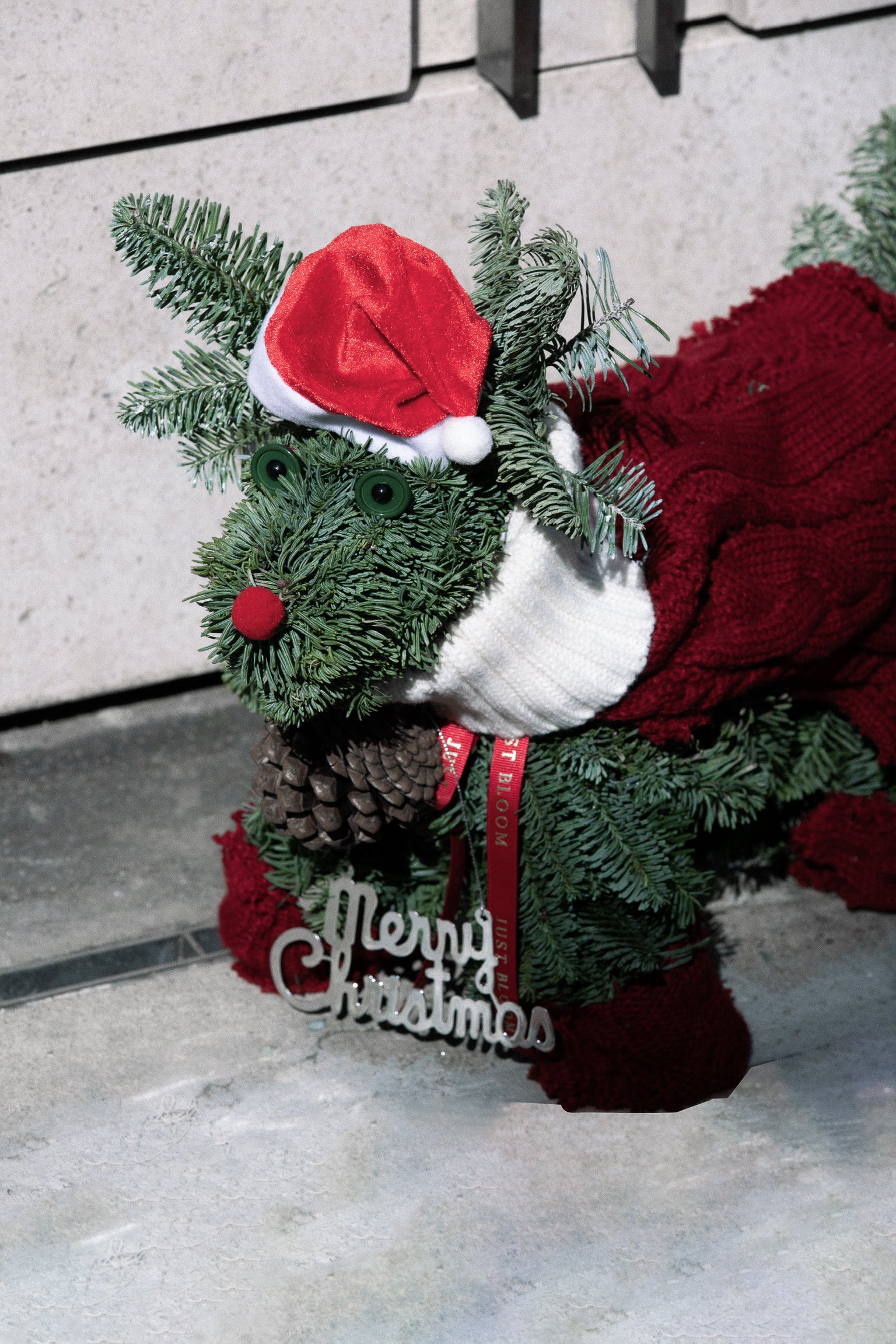 Nori seasonal dog-shaped arrangement with winter greens