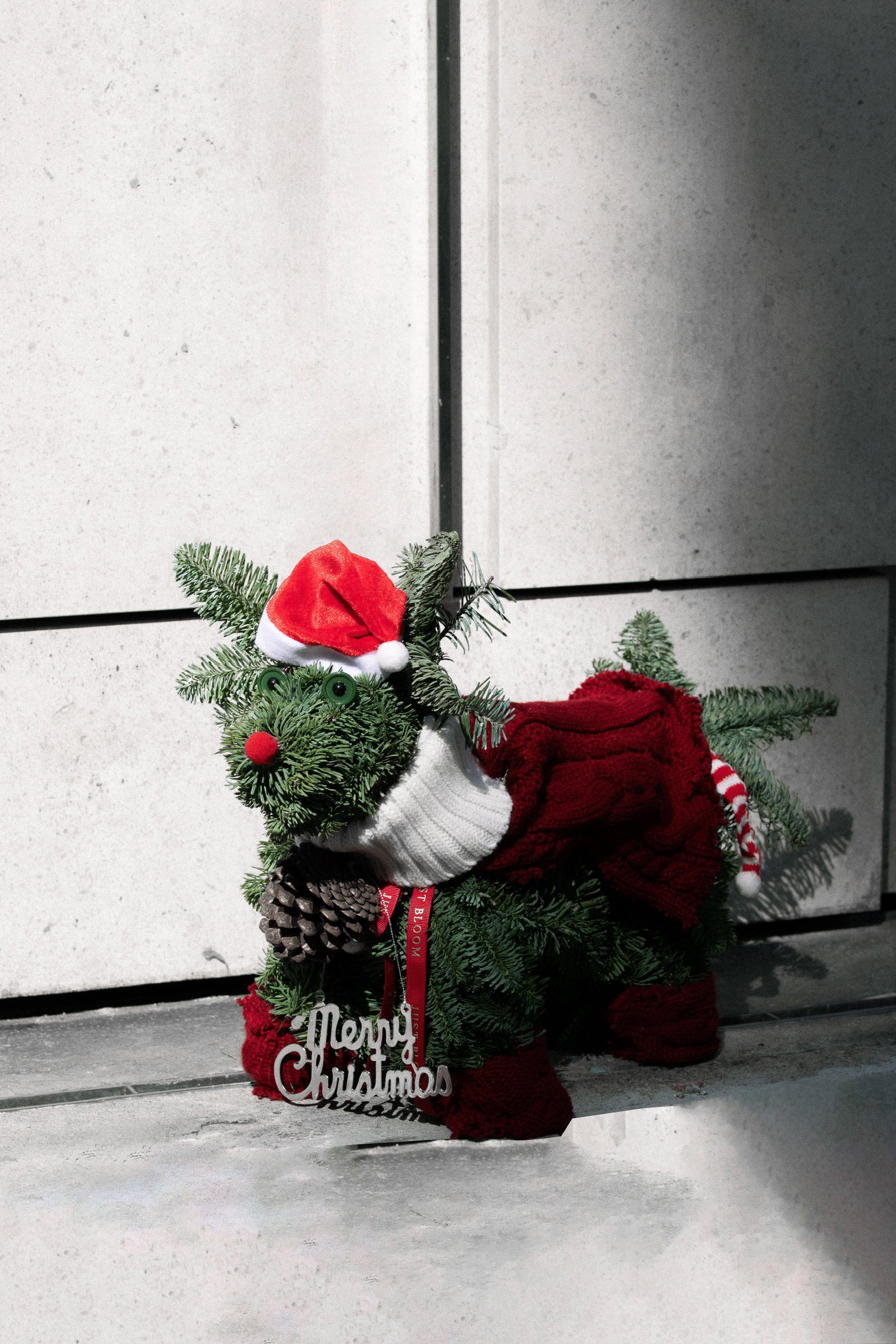 Nori mini winter dog arrangement with pine foliage and festive accents