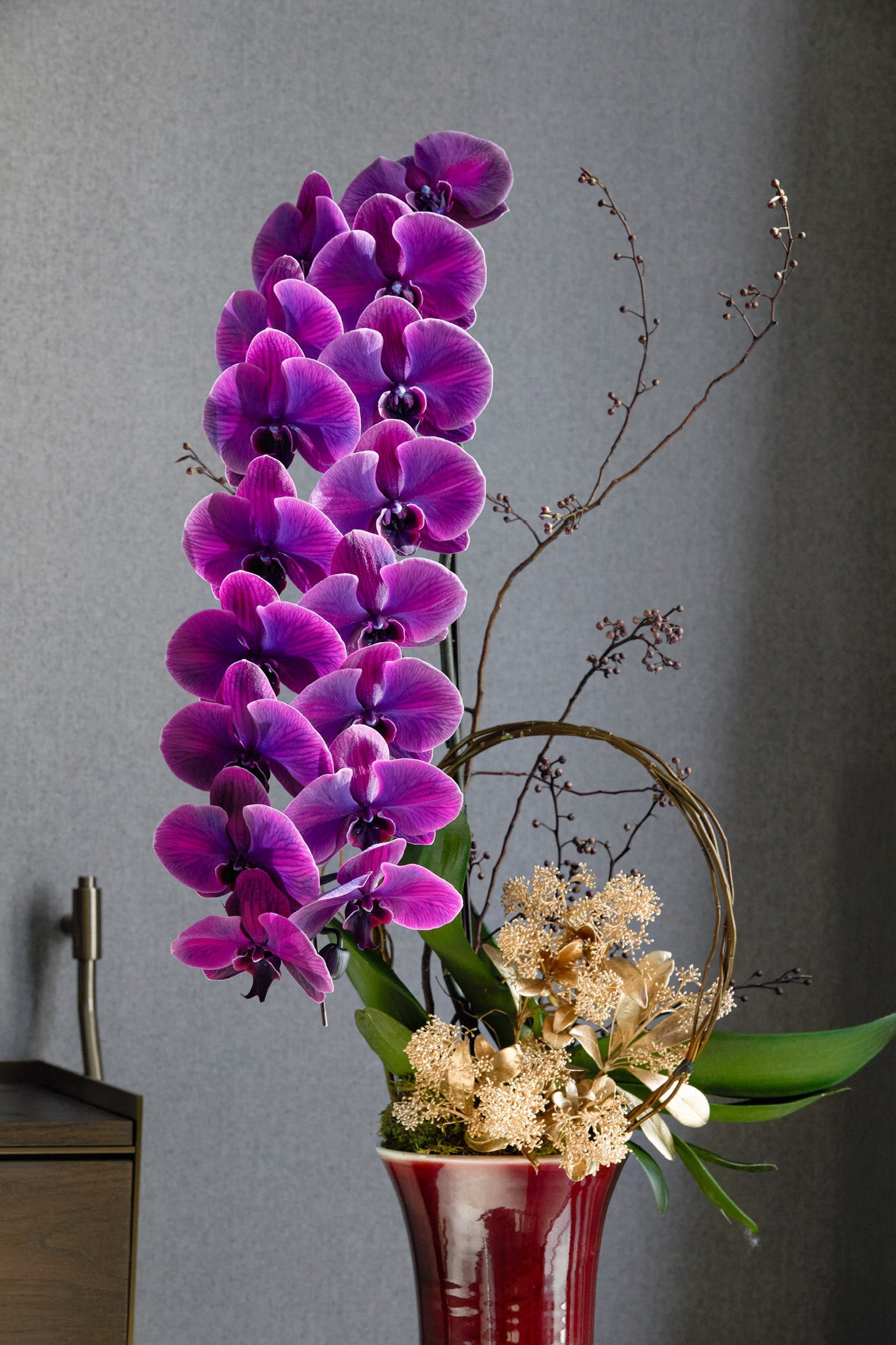 The Language of Orchid Colours: Choosing Auspicious Tones for Your Space