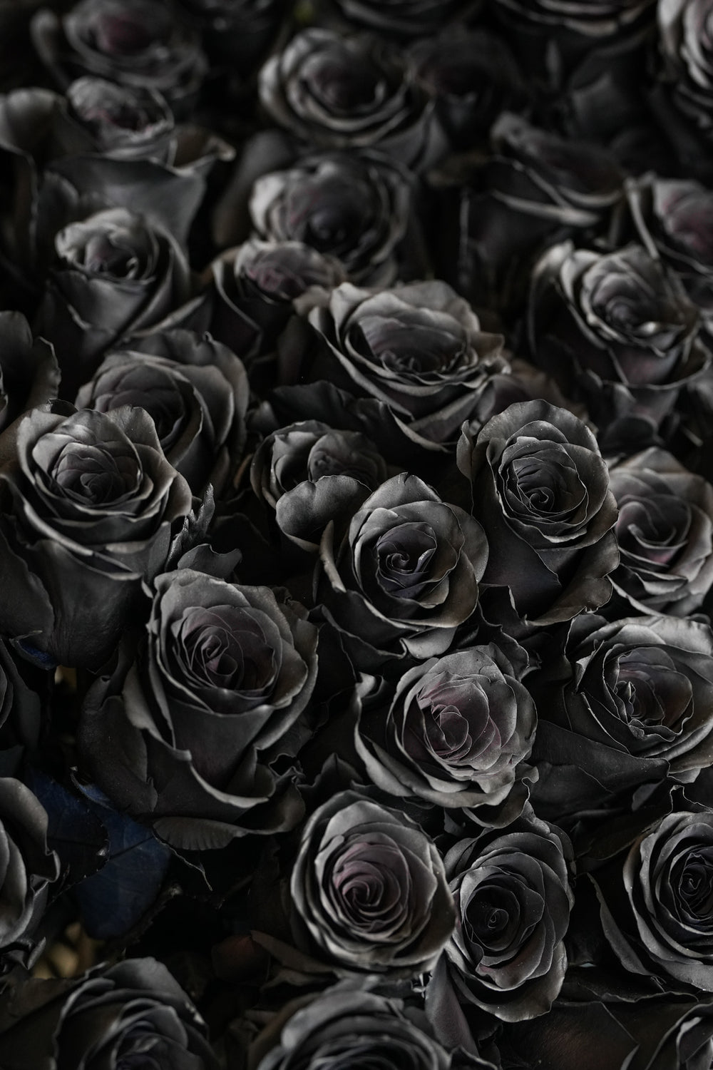 Noir Black Rose Bouquet – 99 Roses Floral Arrangement Just Bloom Hong Kong