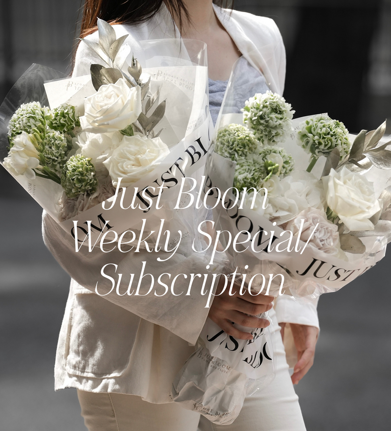 Weekly Special / Subscription