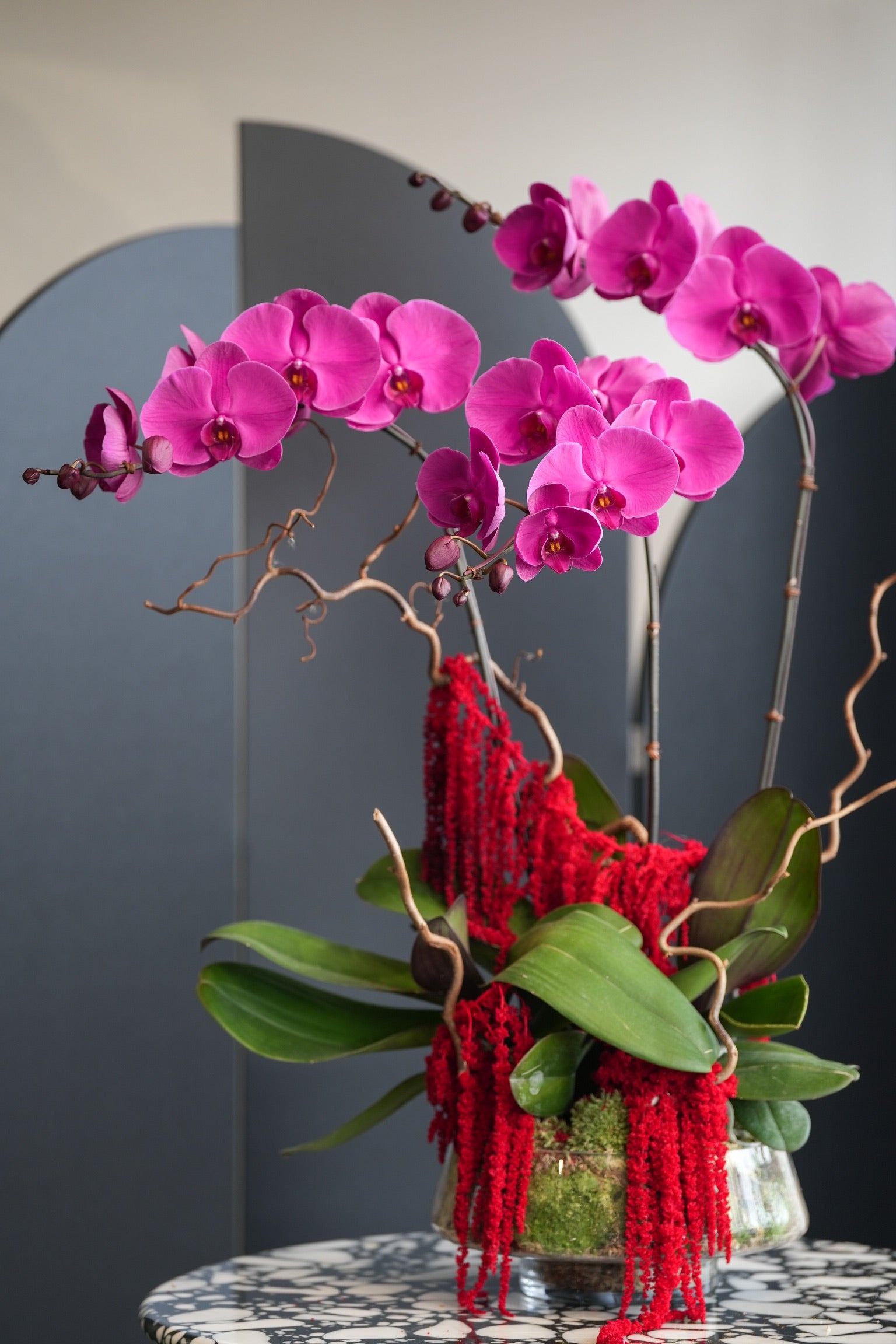 Cecelia Orchid Arrangement with Phalaenopsis Orchids and Amaranthus Caudatus by Just Bloom Hong Kong
