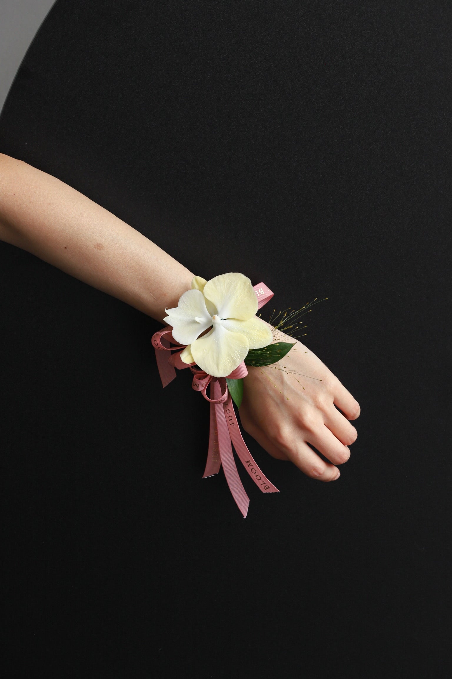 A model wearing  Corsage No.2 featuring a cream phalaenopsis orchid and frosted explosion tied with a Just Bloom pink ribbon — Just Bloom Hong Kong