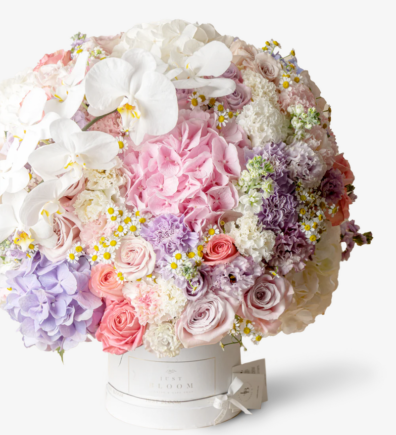 An image of an exquisite Dome Flower Box filled with premium Ecuadorian roses, Dutch Eustoma, Dutch Hydrangea, Taiwan Moth Orchid, Dutch Chamomile, and stunning flower fillers, creating a serene and elegant atmosphere.