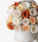 An image of an exquisite Round Dome Preserved Flower Box filled with premium Ecuadorian preserved roses, showcasing a warm earth tone style.