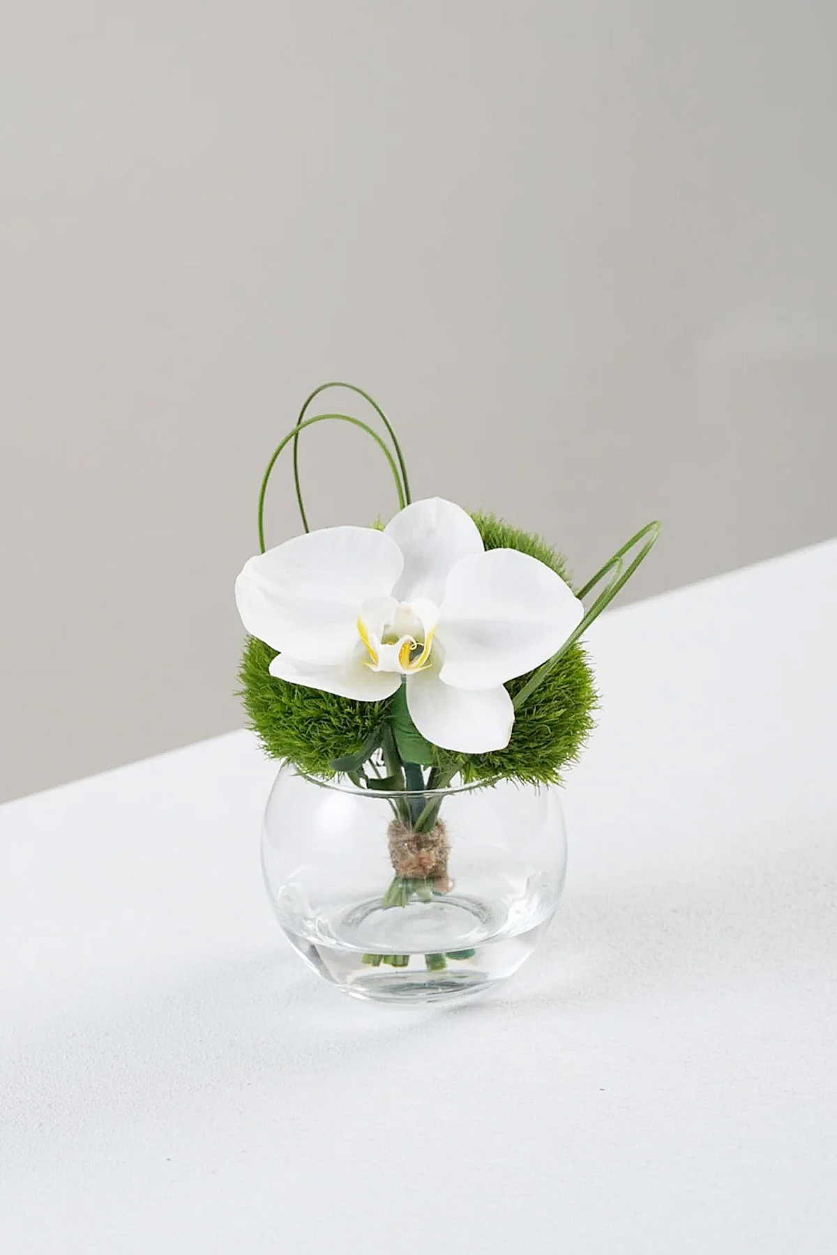 Laney minimalist white orchid mini vase arrangement with green dianthus in clear glass sphere