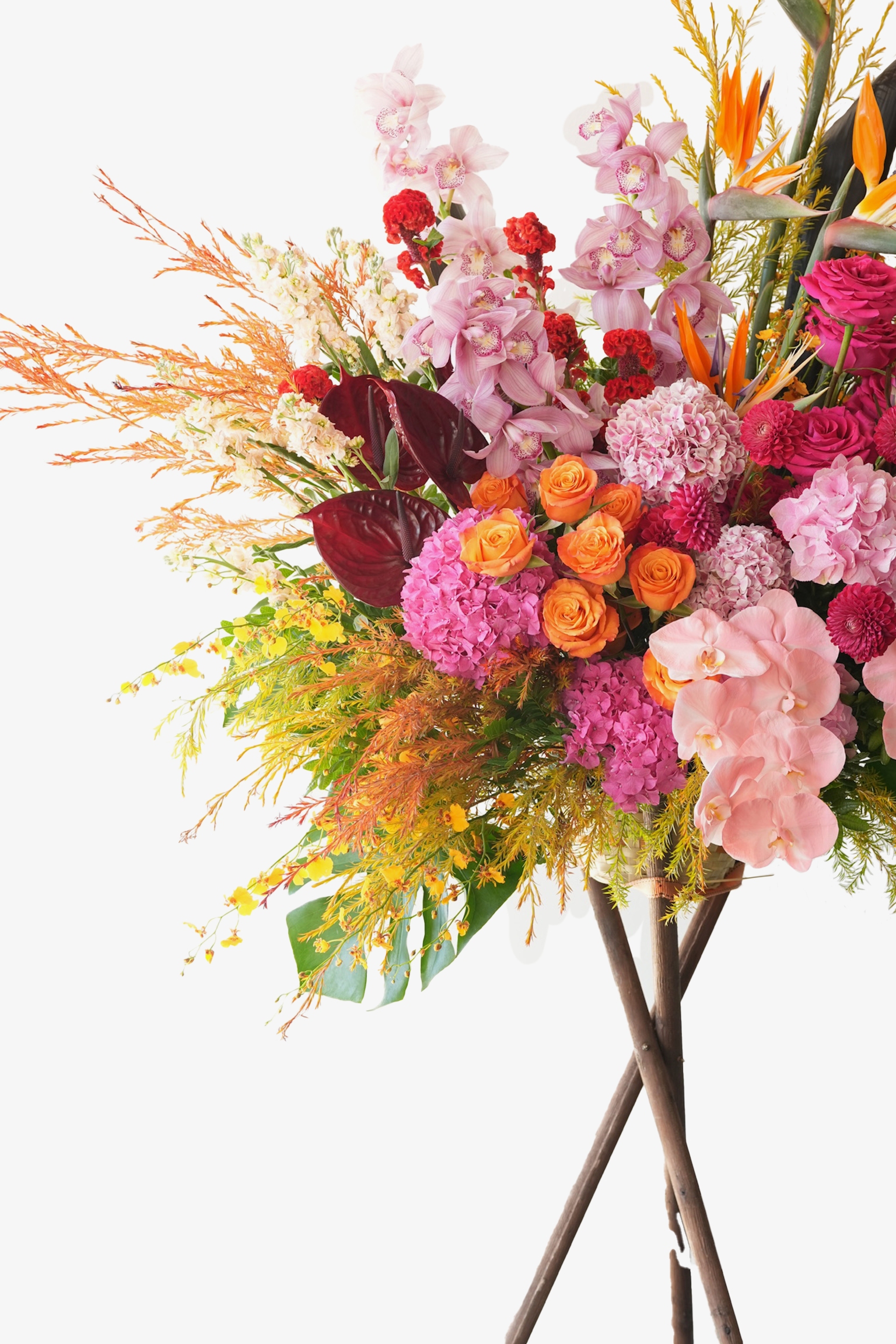 Euphoria opening stand featuring tropical phalaenopsis orchids, roses, hydrangeas, and birds of paradise in vibrant celebratory tones