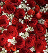 Red flower box by Just bloom × Hong Kong Florist, showcasing an elegant, romantic, eye-catching, passionate, grand, and abundant style, featuring high-quality Ecuadorian roses as the sole flower material.