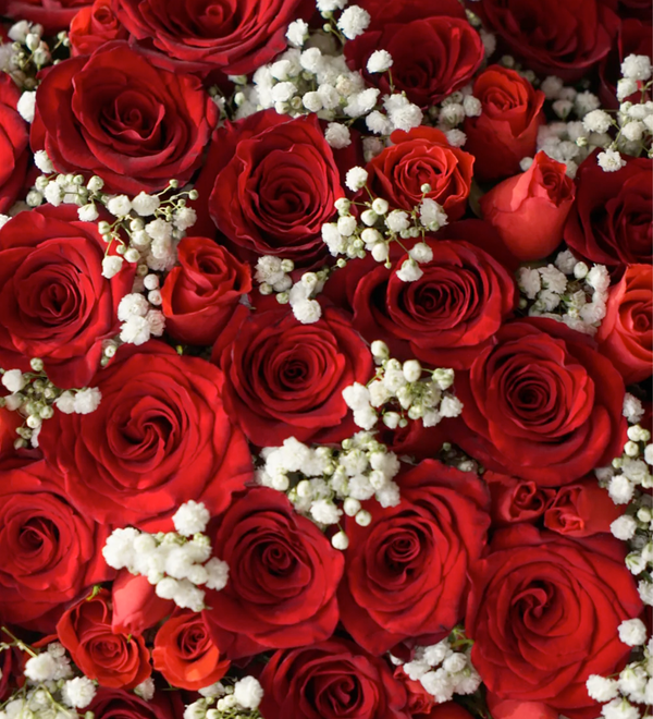 Red flower box by Just bloom × Hong Kong Florist, showcasing an elegant, romantic, eye-catching, passionate, grand, and abundant style, featuring high-quality Ecuadorian roses as the sole flower material.
