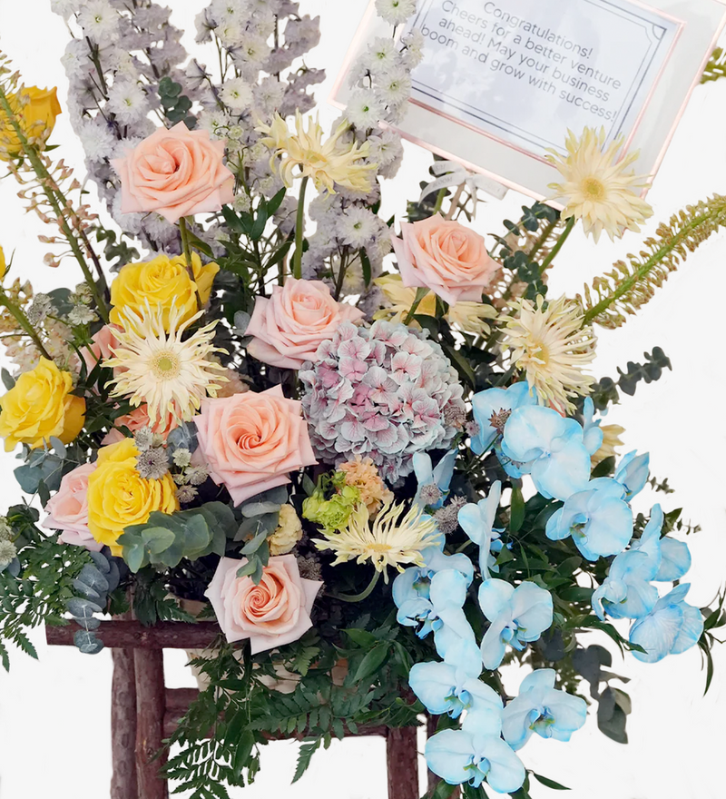 Vibrant Fusion Opening Stand - Premium Dutch Flowers