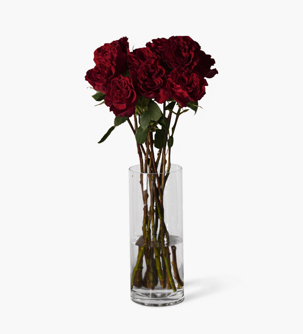 Simple Premium Ecuadorian Rose Bouquet