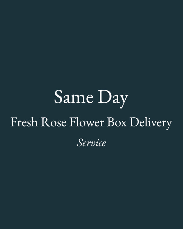 Same day Fresh Rose Flower Box Delivery