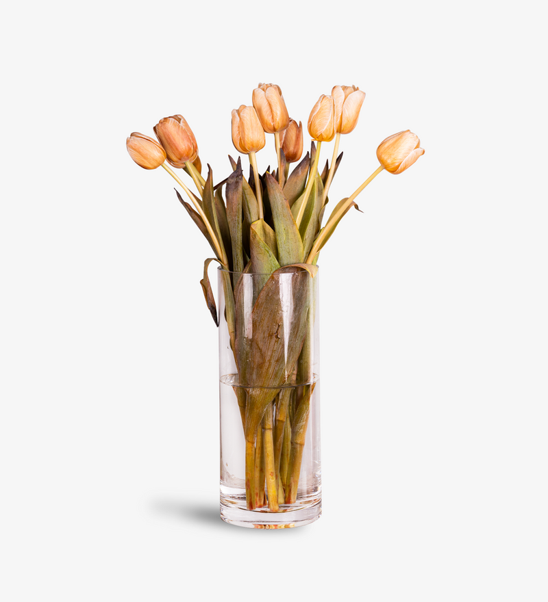 Tulip Bouquet