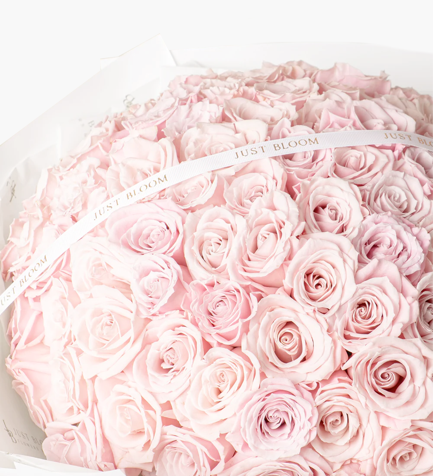 Detail shot of Lennon bouquet featuring Just Bloom ribbon and pink rose arrangement